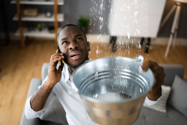 Best Water damage cleanup near me  in Trenton, NJ