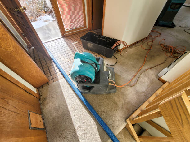 Best Water damage restoration near me  in Trenton, NJ