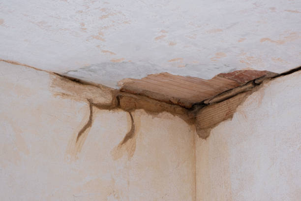 Best Water damage mitigation services  in Trenton, NJ