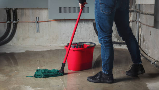 Best Local water damage restoration  in Trenton, NJ
