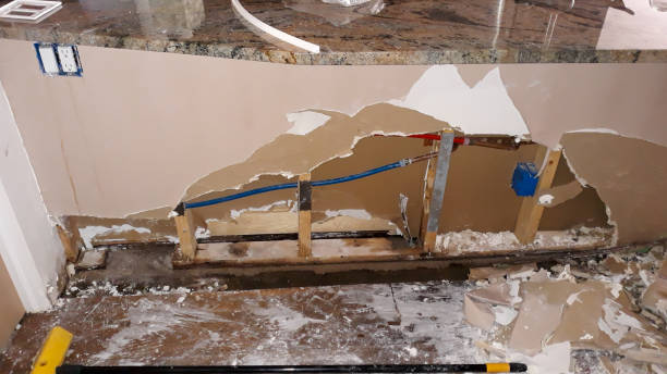 Best Carpet water damage restoration  in Trenton, NJ
