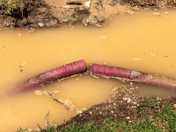 Best Flood restoration services  in Trenton, NJ