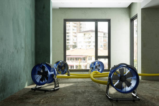 Trenton, NJ Water damage restoration Company